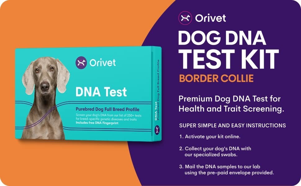 ORIVET Dog DNA Test Kit Border Collie Full Breed Profile eBay