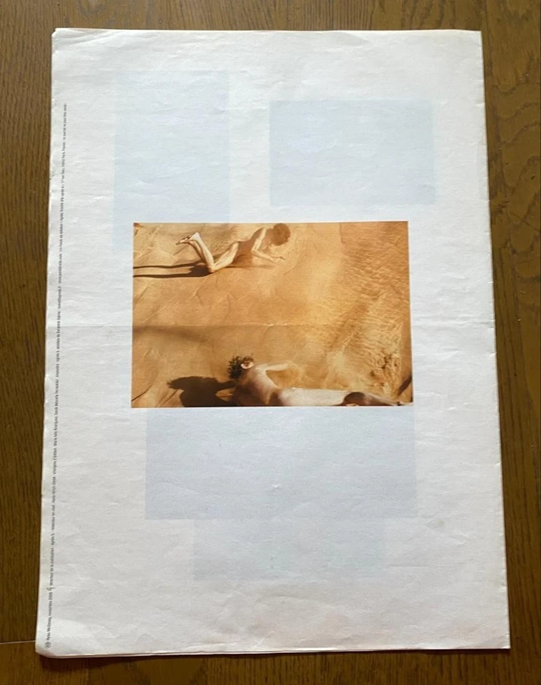 Libro de artista Ryan McGinley 43 x 31 cm 8 páginas Foto 2 de 4