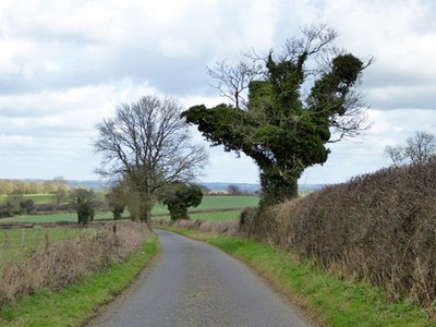 Foto 6x4 Rodfield Lane Lane End\/SU5525 Richtung Ovington. c2017