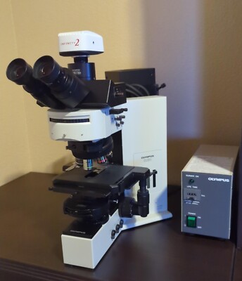 Olympus BX60F-3 Fluorescent Microscope w/ UPlan Objectives, Eyepieces, DF+LF