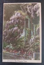 1916 postcard art In Wisteria Time Henry Heininger Fac-Simile Nature Cards