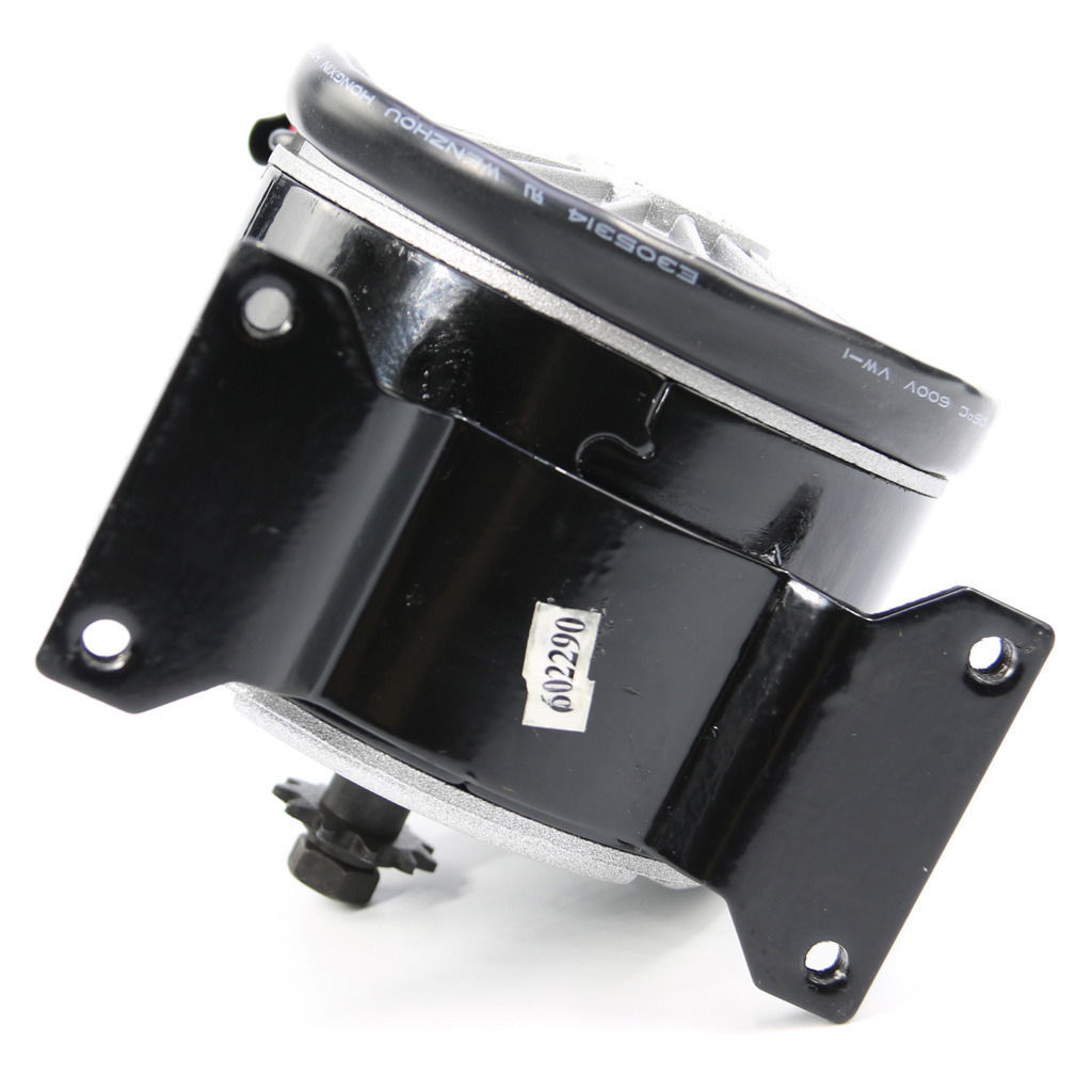 TaNeHaKi Moteur électrique à brosse DC 36 V - Moteur à brosse - 800 W