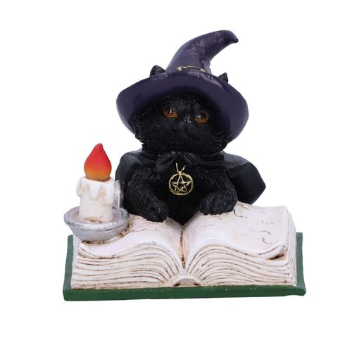 Cat figurine Salem 32,5 cm - A real Witch's Cat! Nemesis Now Cat figurine Salem 32,5 cm - A real Witch's Cat! Nemesis Now