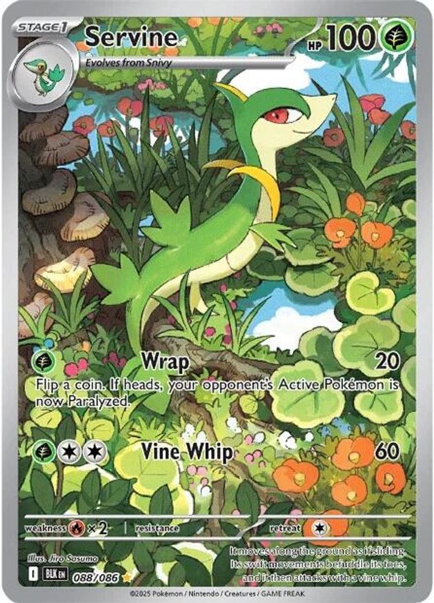 Pokemon Servine (88/329) Black Bolt LP HOLO