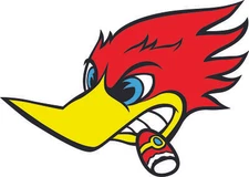 Woody Woodpecker HEAD LEFT 3M STICKER USA MADE TRUCK VEHICLE WINDOW CAR VEHICLE