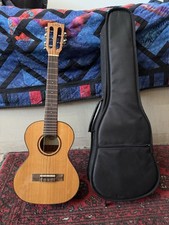 Kala 5 String Ukulele APT5-CTG