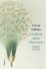 Linfinit dins dun jonc: La invenció dels llibres al... | Book | condition good