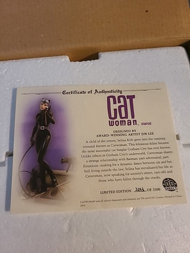 CATWOMAN Statue Hush Jim Lee + Jonathan Matthews DC Direct MIB Batman 2243/3500 - Picture 16 of 16