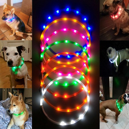DOT RECHARGEABLE DOTTED LED PET GLOW COLLAR adjustable flash light-up FOR dog - Picture 2 of 65