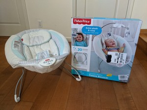 fisher price meadow bouncer