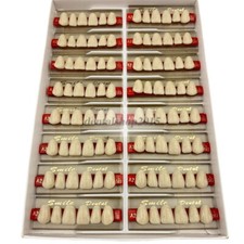 96PC dental acrylic resin teeth VITA color A1 A2 A3 Denture anterior UPPER LOWER