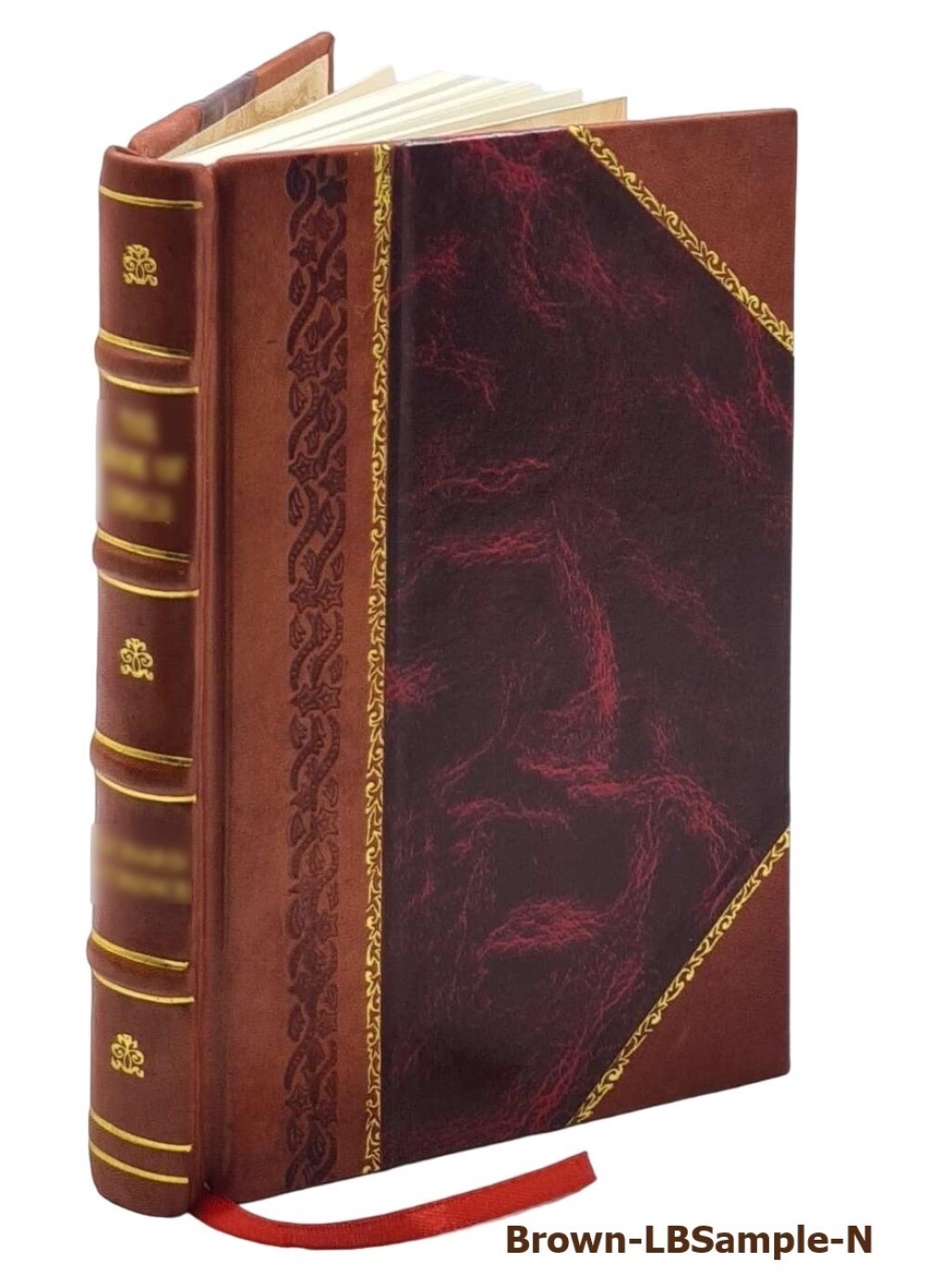 Organon of medicine 1893 by Samuel Hahnemann, [Leather Bound]