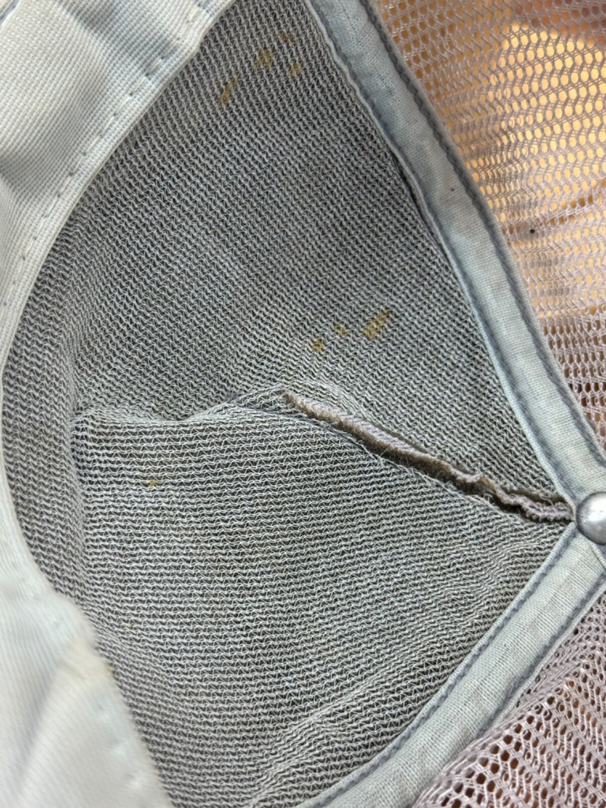 Picture 9 of 11