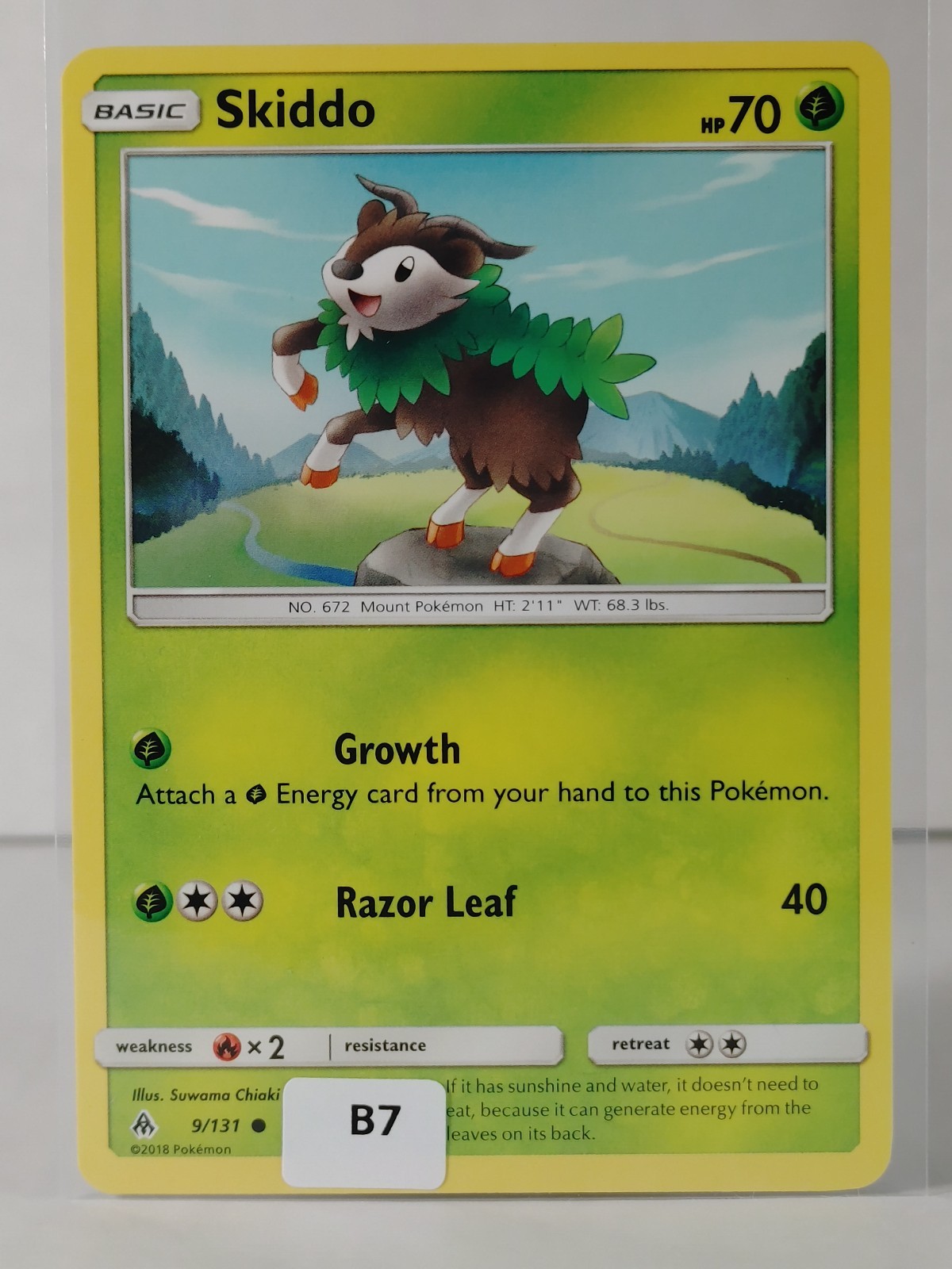 Skiddo  - SM: Forbidden Light #9 - POKEMON  - NM - U Pick