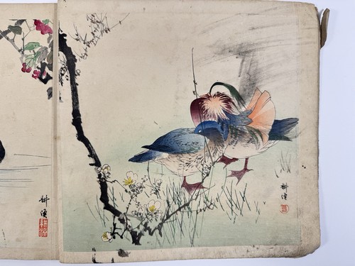 Japanese Woodblock Print Book “kogyo Kachogacho” Bird and Flower - Picture 5 of 24