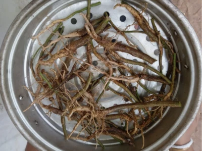 30g Organic Sida Acuta Dried Roots | Fresh Air-Dried Herbal Remedy to Order