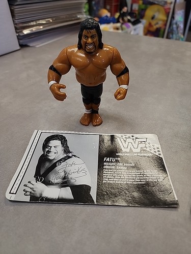 Vintage 1993 Hasbro WWF Wrestling Action Figure Fa...