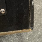 Picture 16 of 17