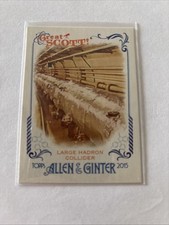 2015 Topps Allen and Ginter Great Scott #GS4 Large Hadron Collider