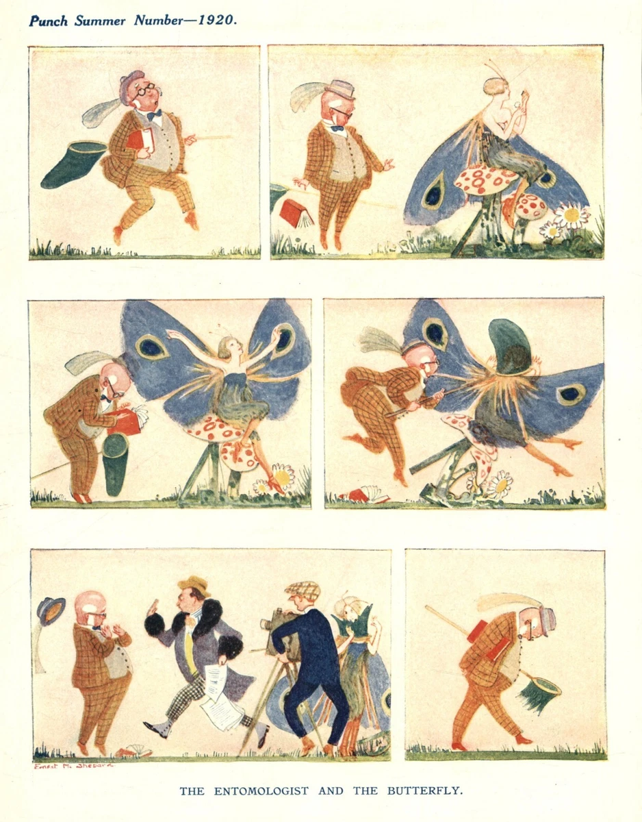 Entomologist Cartoons