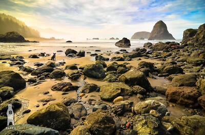Whaleshead Beach - Southern Oregon Coast - Fine Art Photography Prints