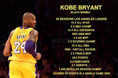 KOBE BRYANT #24 LA LAKERS STATISTICS  PHOTO ALL SIZES