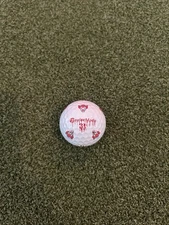 Taylormade TP5 Pix Nightmare Circus Halloween Clown Golf Ball