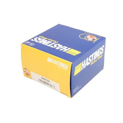   HASTINGS PISTON RING KIT 2M4790 NEU DE STOCK