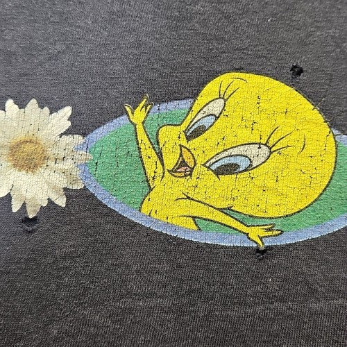 Vintage 90s Tweety Bird Tshirt Size In Pics Daisies Single Stitch USA DISTRESSED - Picture 11 of 23
