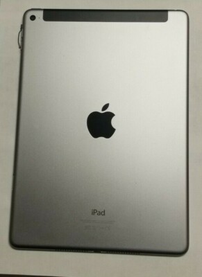 Apple iPad Air 2nd Gen WiFi A1567 OEM Original Housing Battery