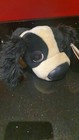 Picture 5 of 6