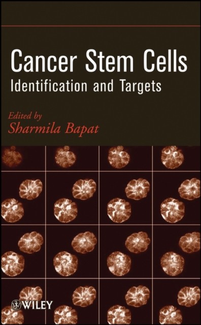 Cancer Stem Cells – Identification and Targets Bapat Hardback Wiley–Blackwell