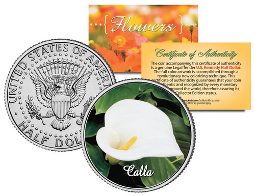 CALLA LILY FLOWER JFK Kennedy Half Dollar US Colorized Coin - 第 1/1 張圖片