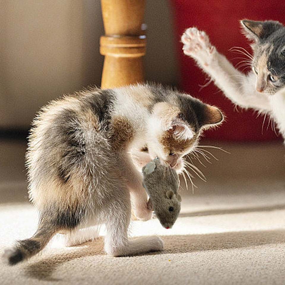 Wind Up Plush Mouse Toy For Indoor Cats, Interactive Cat Toys, Cat