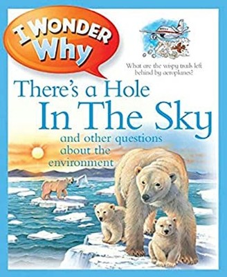 I Wonder Why There's a Hole in the Sky Paperback Sean, Gaff, Jack