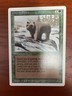 MTG Grizzly Bears CARD SINGLE USED EXCELLENT CONDITION SEE PHOTOS