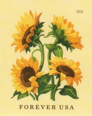 USPS Sunflower Booklet of 20 Forever Stamps (6067) | eBay