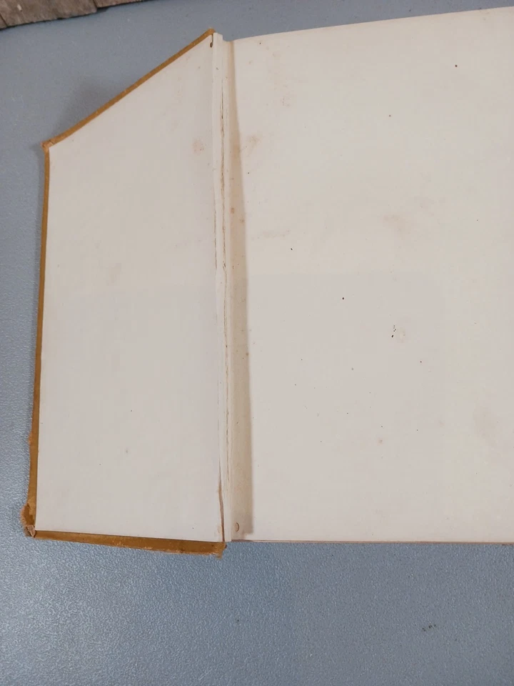 1882 THE PRESIDENTS OF THE UNITED STATES LIVES HARDCOVER  Foto 4 de 4