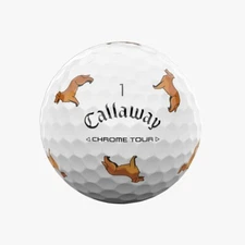 ONE Callaway Chrome Tour GOLDEN RETRIEVER Let the Big Dog Eat Golf Ball ONE BALL