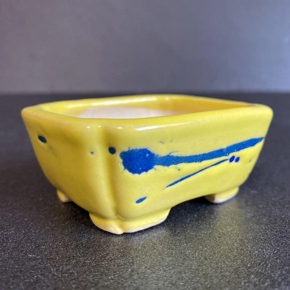 Japanese Bonsai pot TOKONAME Yellow glazed Rectangular Mini W7.3cm SHIBAKATSU - Image 2 of 4