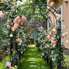 Metal Garden Arch Arbor Garden Archway for Wedding Bridal Party Festival Events