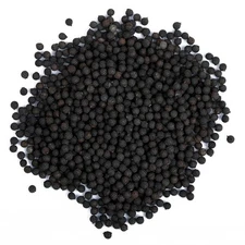 Eva Impex Kateli Seeds – Solanum (Satyanasi, Kantakari)