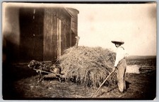 Antique RPPC Postcard Boy Dog Pulling Hay Wausau, WI 1910s