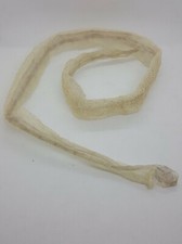 Various Snake Skin Sheds Taxidermy corn/kingsnake Ball Python Educational skins