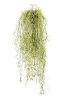 Artplants KüNstliche Tillandsia Usneoides Ranke Irmena, GrüN-Gelb, 80Cm