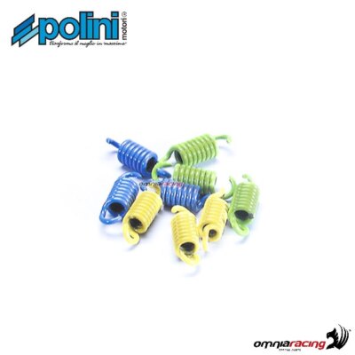 Polini Kupplungsfeder Satz für Honda für ESIGHT 250 1998