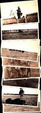 Rare VTG 15 count Photo Lot Buffalo Hunt, Bison Hunters, Horse, Rifle, Car