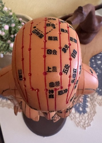 Acupuncture Female Model High Definition Chinese Human Body W/ Instructions 20” - Picture 5 of 23