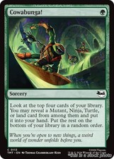 Cowabunga! Magic TMT 113 NM C Teenage Mutant Ninja Turtles