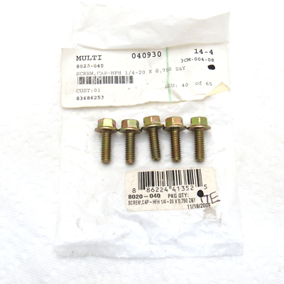 Arctic Cat Snowmobile OEM 1/4-20x.750 HFH Cap Screws Bolts 8020